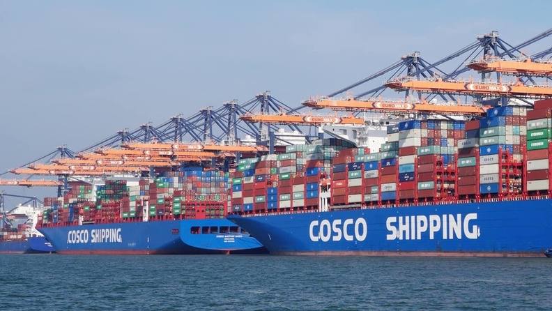 Cosco 컨테이너선들. 사진 : Gliese Foundation