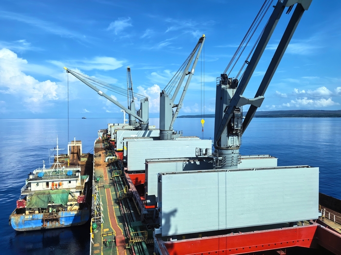 중국 선사 소유의 벌크선. 사진 : Ningbo Ocean Shipping