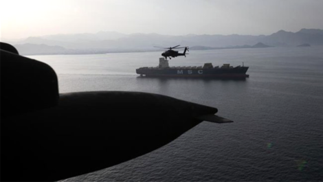 MSC '컨'선 6척, AIS 끄고 호르무즈 탈출 성공